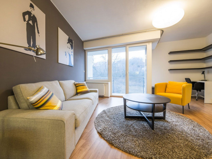 Černá Architektura, Interiér bytu Vídeňská - foto