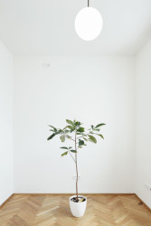 Henkai Architekti, rekonstrukce bytu s knihovnou v Opavě, foto