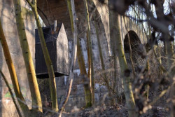 Létající černý dům, H3T architekti, foto