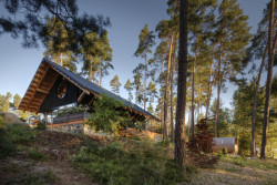 Skla mají zrcadlovou úpravu a odráží okolní zeleň. (Chata Spiegelbaude, A1 architects)