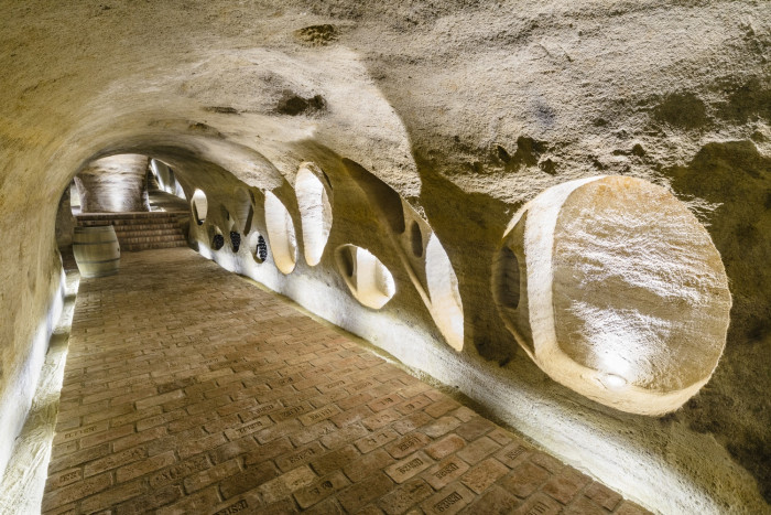 Vinný sklep Konice, Tomáš Dvořák architekti