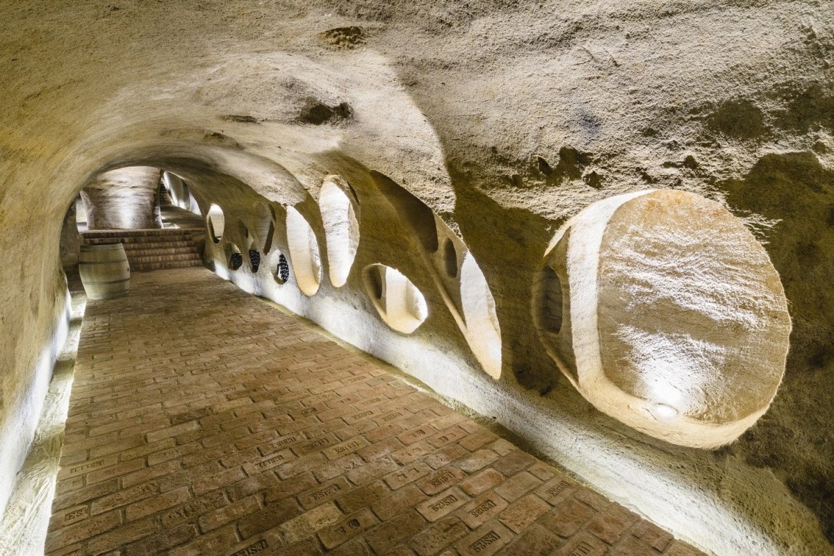 Vinný sklep Konice, Tomáš Dvořák architekti