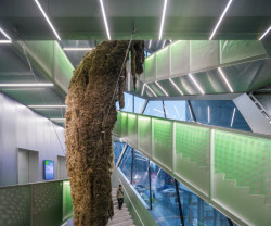 Rozšíření New Museum od OMA