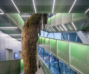 Rozšíření New Museum od OMA