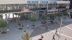 Slezanka v Opavě v roce 2008