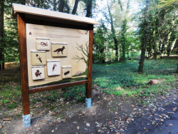 Naučná stezka v parku Štěpánka