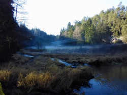 Architektura ale nejsou jen města. Je jí i chata obklopená přírodou. / údolí Želivky – foto