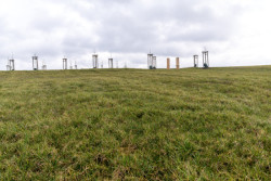 Trávy, byliny, stromy, keře. To jsou hlavní elementy nového kusu krajiny.