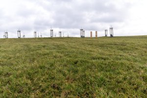 Trávy, byliny, stromy, keře. To jsou hlavní elementy nového kusu krajiny.