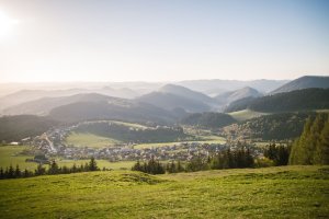 2021 architekti, LABAK, Lávka a prístrešok na Straníku – foto