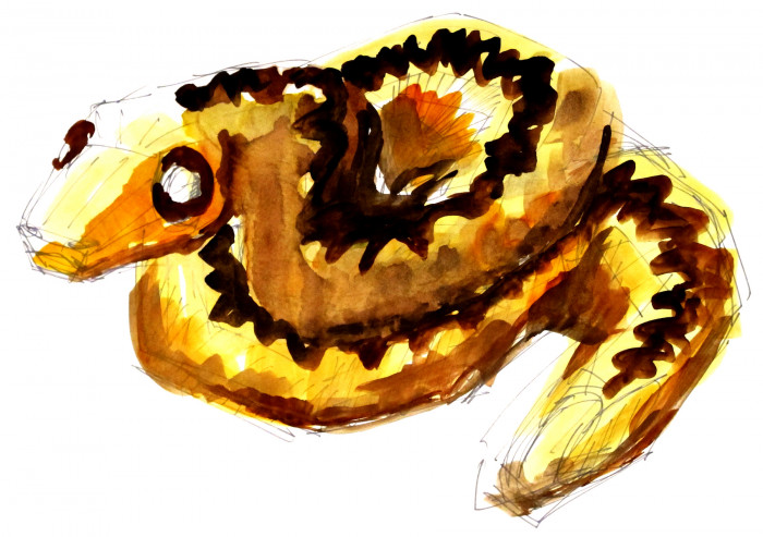 Herní krajina Pecka, Matěj Hájek a Tereza Kučerová (Moloarchitekti s.r.o), skica zmije