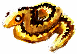 Herní krajina Pecka, Matěj Hájek a Tereza Kučerová (Moloarchitekti s.r.o), skica zmije