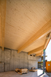 Beton potkává dřevo  (V Team, dům Haut)