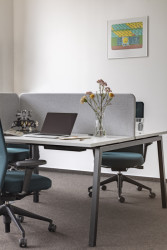 Butikový coworking, Studio Perspektiv