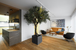 Řadové domy v Opavě