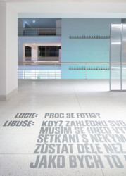 Podstatnou součástí instalace je také grafický design Anežky Minaříkové a Marka Nedelky. (Výstava Libuše Jarcovjaková, ateliér AnnaMAT)