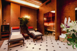 Bio sauna a parní kabina TAO v ájurvédském centru Ananda Spa v Praze. Možnost volby bylinné sauny a aromaterapie umožňuje masážnímu centru obohatit nabídku relaxačních procedur. 