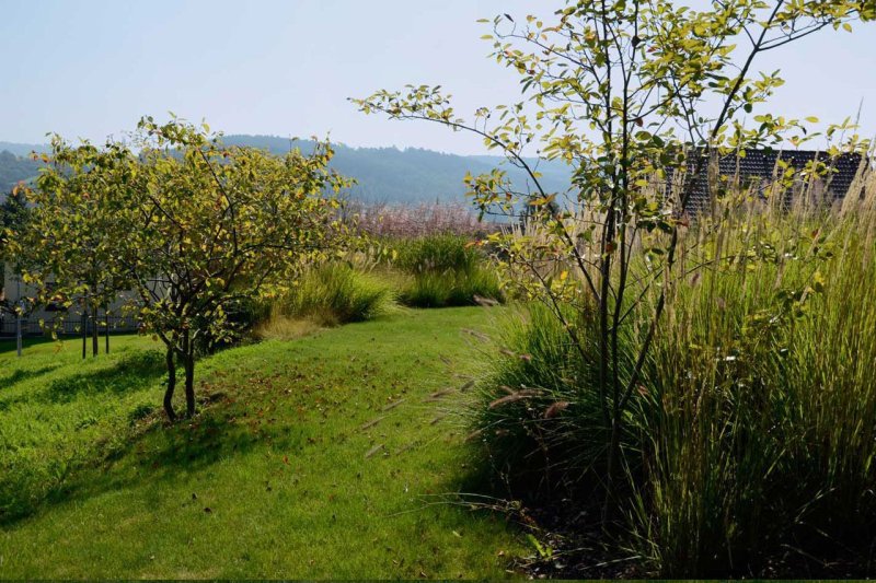 Land05, Zahrada Počaply – foto