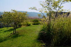 Land05, Zahrada Počaply – foto