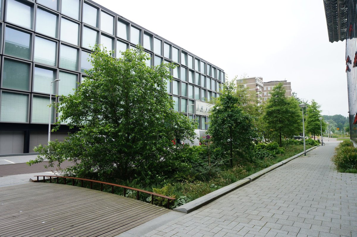 5. prosince proběhne v kině Světozor dvojpřednáška s názvem Ozeleňování měst s amsterdamským krajinářským architektem Tonem Mullerem a tuzemským krajinářským architektem Štěpánem Špoulou.