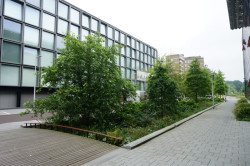 5. prosince proběhne v kině Světozor dvojpřednáška s názvem Ozeleňování měst s amsterdamským krajinářským architektem Tonem Mullerem a tuzemským krajinářským architektem Štěpánem Špoulou.