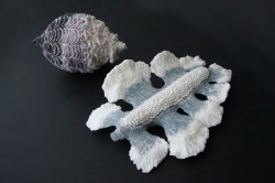 Stanislav Libenský Award 2016, Natsuki-Katsukawa, 1. místo – foto