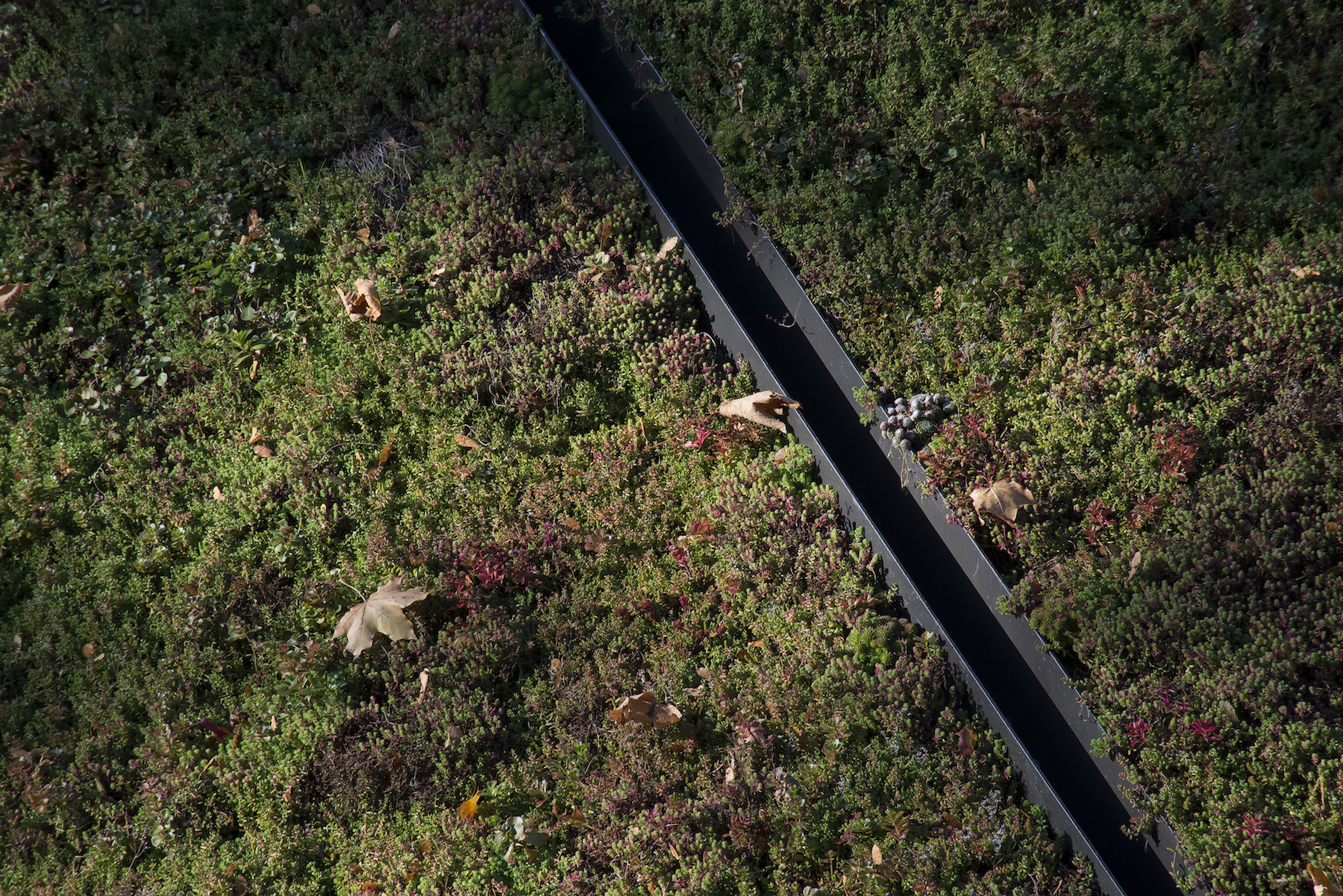 Krkonošské centrum environmentálního vzdělávání (KCEV), Petr Hájek architekti