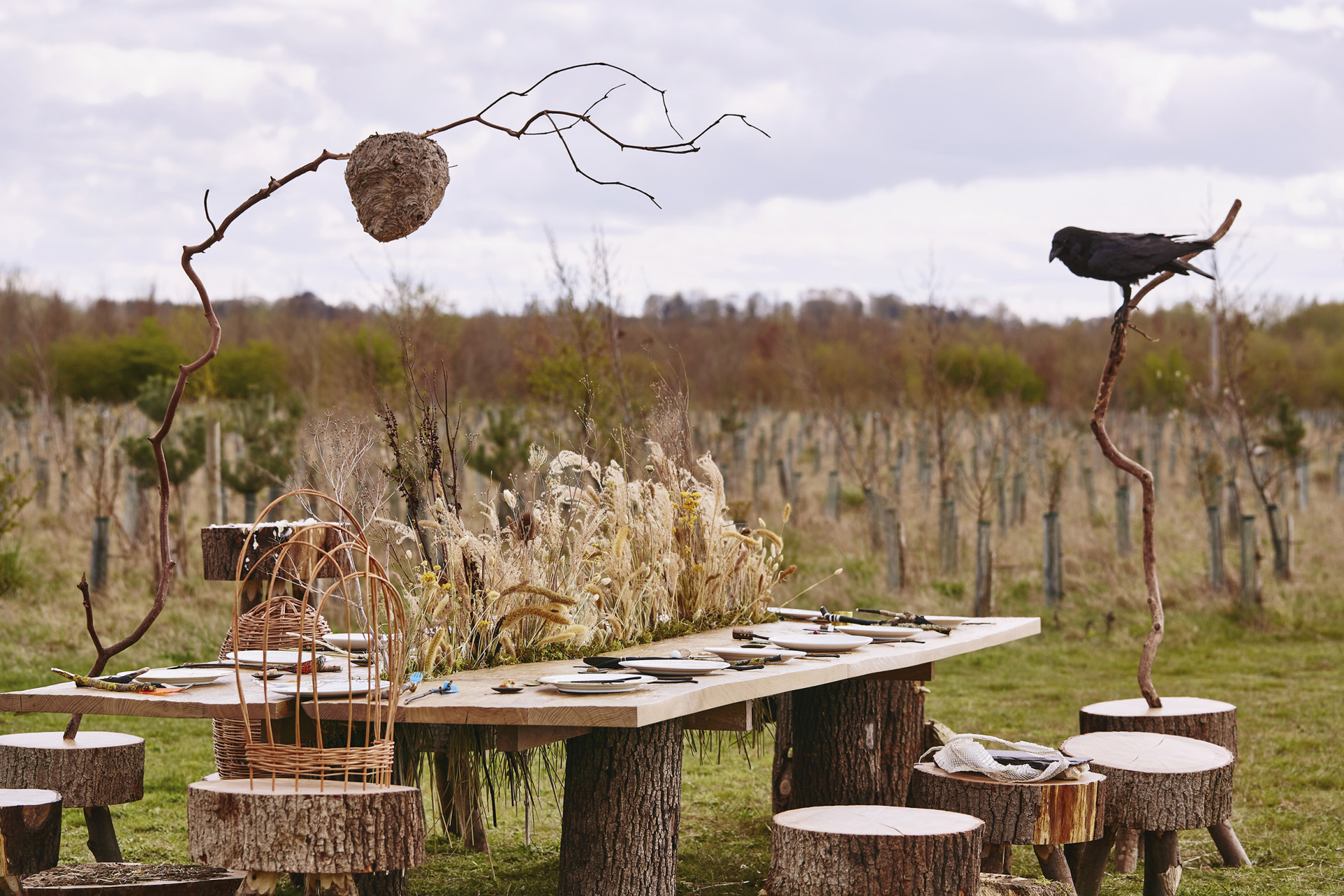 Refuge for Resurgence - projekt designérského studia Superflux pro bienále architektury 2021 v Benátkách. Foto: Mark Cocksedge