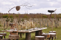 Refuge for Resurgence - projekt designérského studia Superflux pro bienále architektury 2021 v Benátkách. Foto: Mark Cocksedge