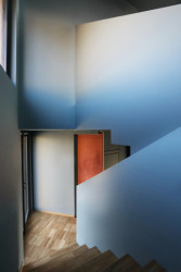 Houses of Cards, Dog House, Elastico Farm