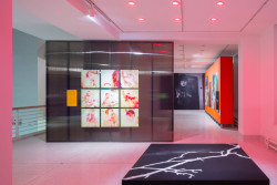 Pohled do výstavy (Výstava Libuše Jarcovjaková, ateliér AnnaMAT)