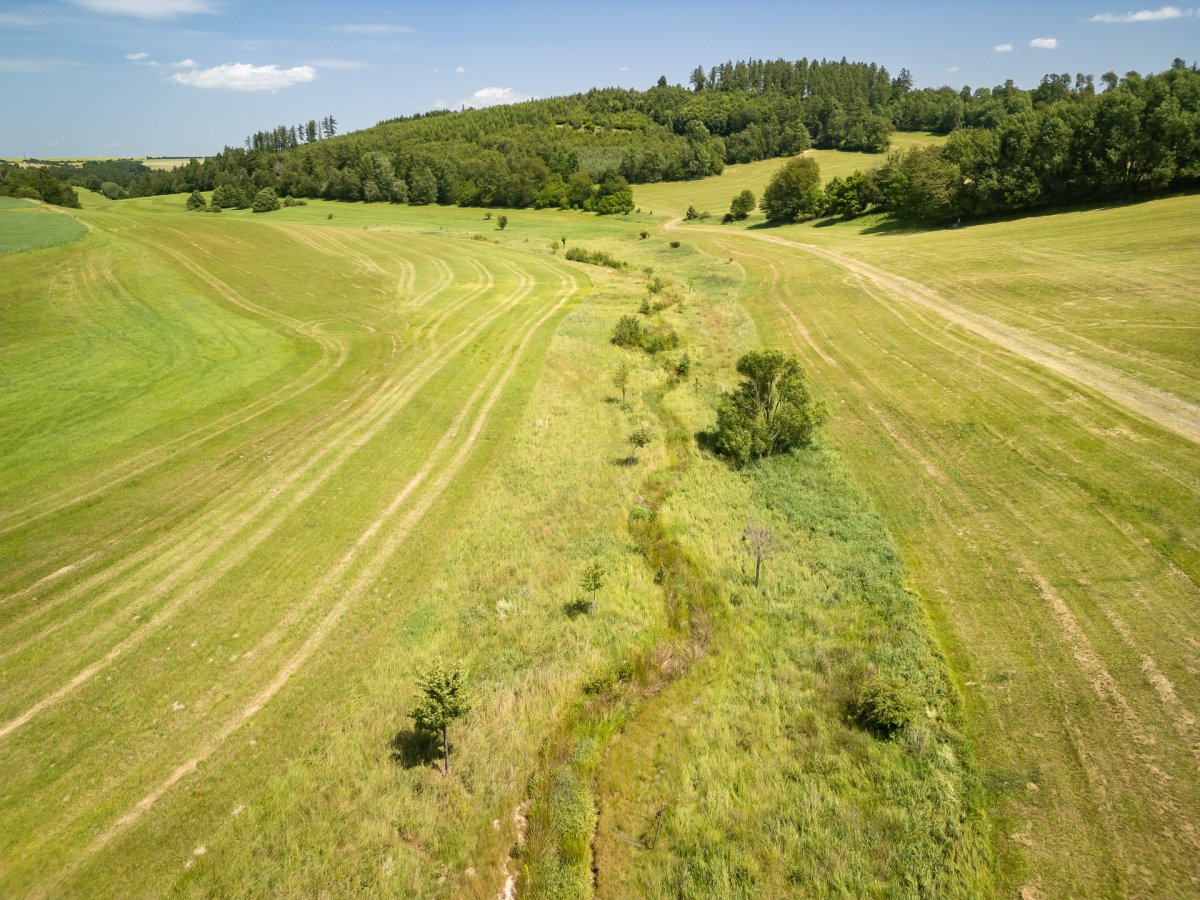 Kategorie krajina: Revitalizace Rychtářského potoka