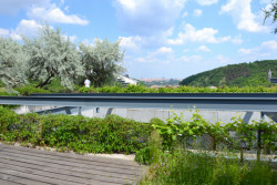 1. místo – novostavba, Střešní zahrada na sídle ČSOB, Praha 5.