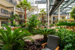 Zelené atrium je samostatně fungující biotop. Jeho přínosem je tišší prostředí, vyrovnanější klima a celková atmosféra, která člověku usnadňuje koncentraci a zároveň nabízí klid.