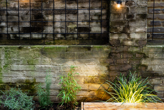 Rekonstrukce restaurační zahrady Hoja, Petr Danda