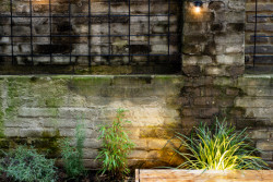 Rekonstrukce restaurační zahrady Hoja, Petr Danda