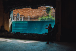 Orientarium v Lodži