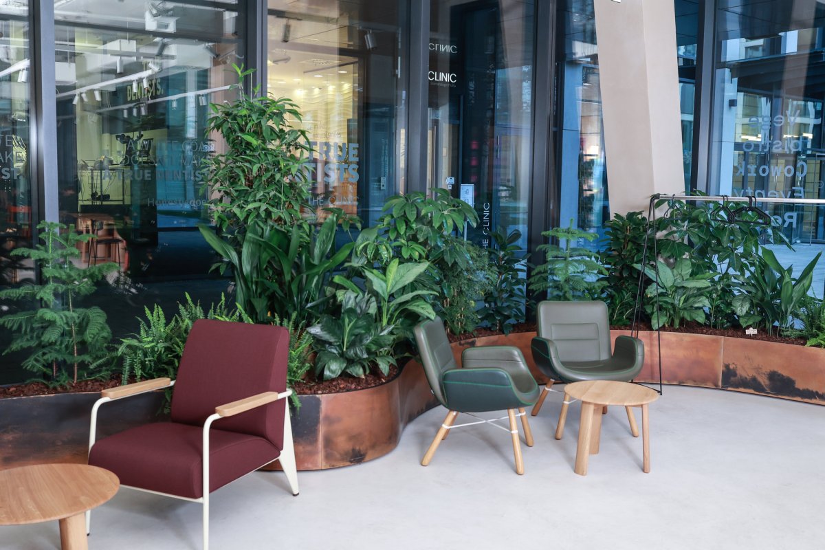 Pronájem rostlin s péčí od Jungle Interiors