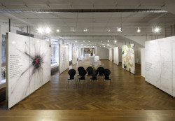 Expozice výstavy Ideální Velká/ Malá Praha, 1919/ 2019 v Galerii Lucerna.