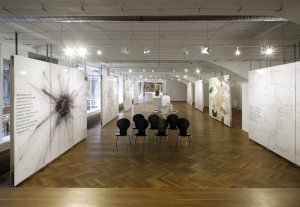 Expozice výstavy Ideální Velká/ Malá Praha, 1919/ 2019 v Galerii Lucerna.