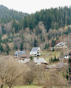 Dům ve svahu, AMUNT Nagel Theissen: Sedlová střecha, její sklon a směr hřebene byly definovány územním plánem