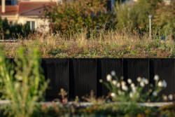 Rodinný dům v obci Borinka na Slovensku, ateliér Kubis Architekti: Pohled na vegetační střechu