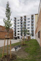 Bytový dům Domino, Atelier RAW