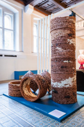 Dávid Valovič, What are you standing on? / Na čem stojíš?, vítěz soutěže Diploma Selection 2021