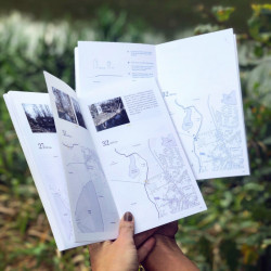 Kniha Zlatá stoka, Kateřina Průchová.