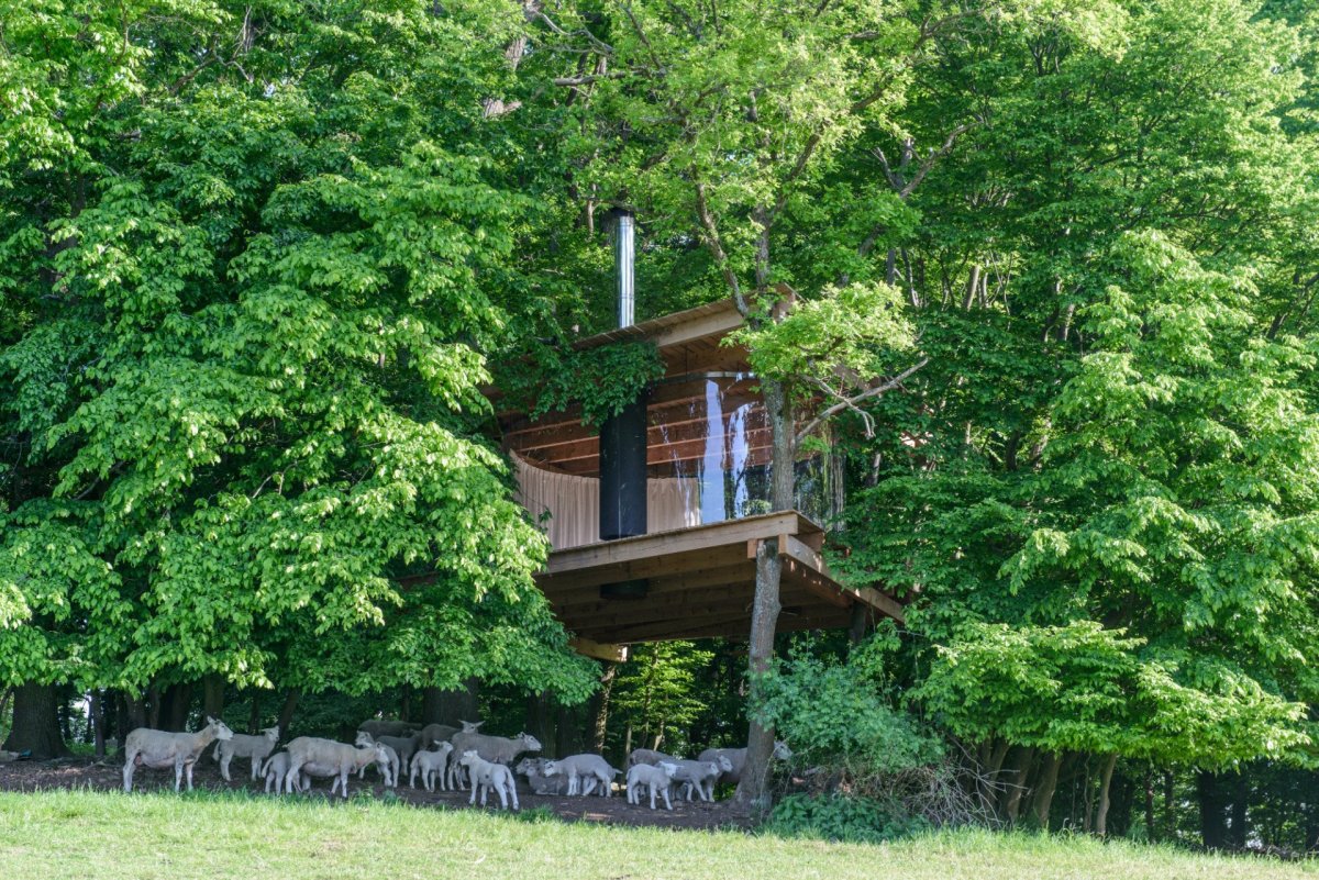Tree House, Jan Tyrpekl