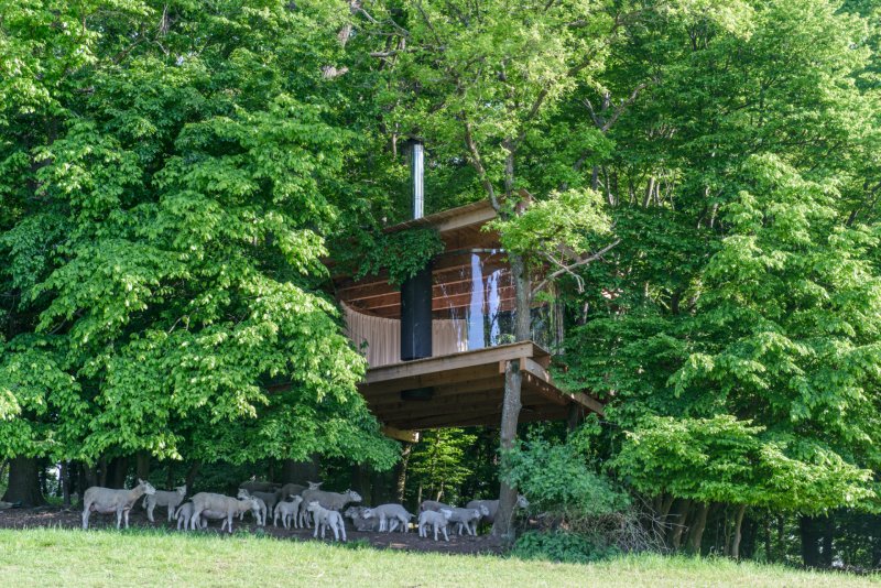 Tree House, Jan Tyrpekl