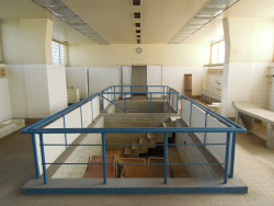 Městské lázně Zábrdovice, Bohuslav Fuchs, 1931