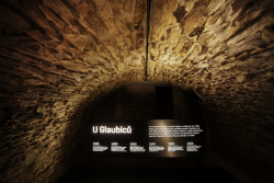 Revitalizace U Glaubiců, NEUHÄUSL HUNAL