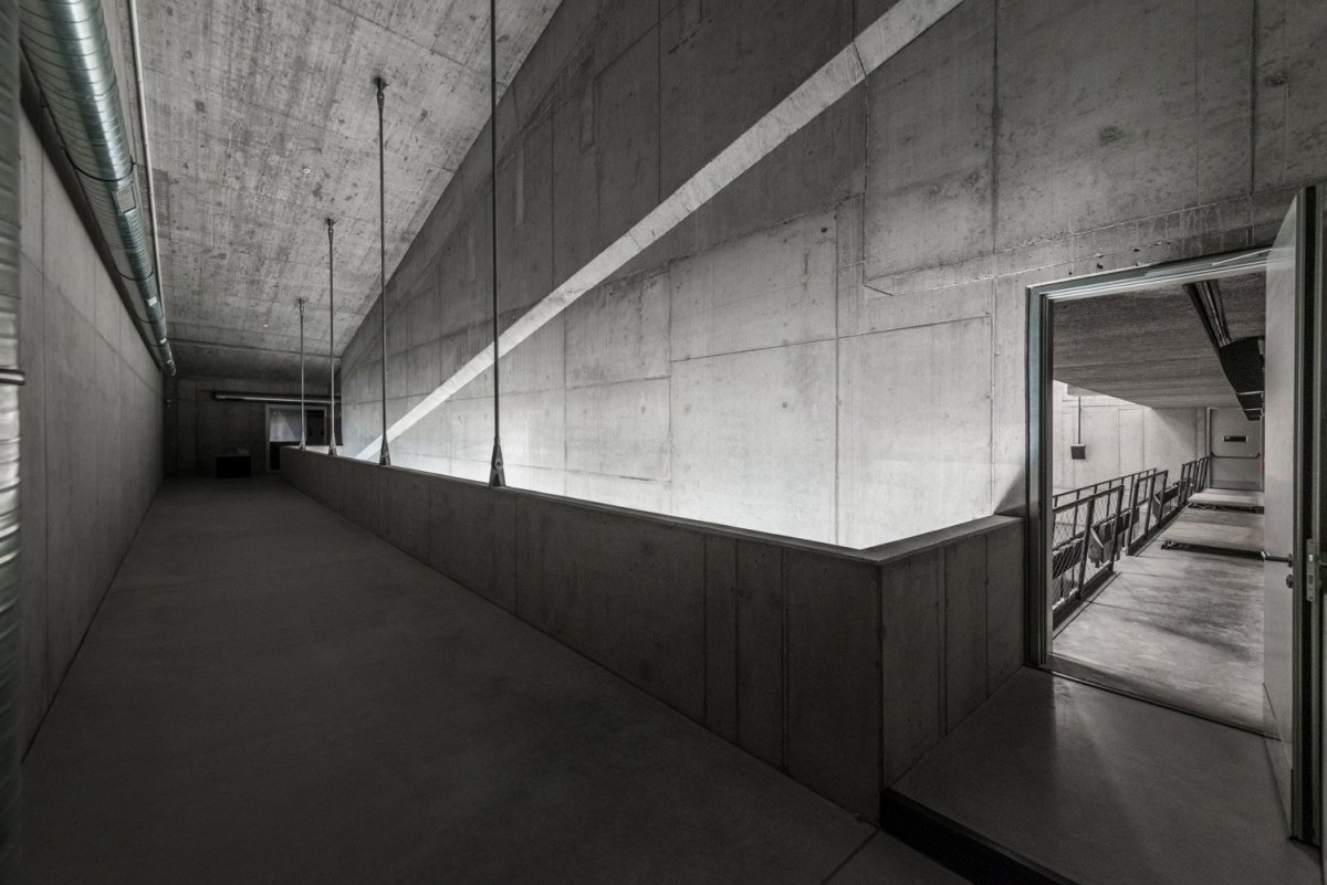 Foyer DOX+, Petr Hájek ARCHITEKTI